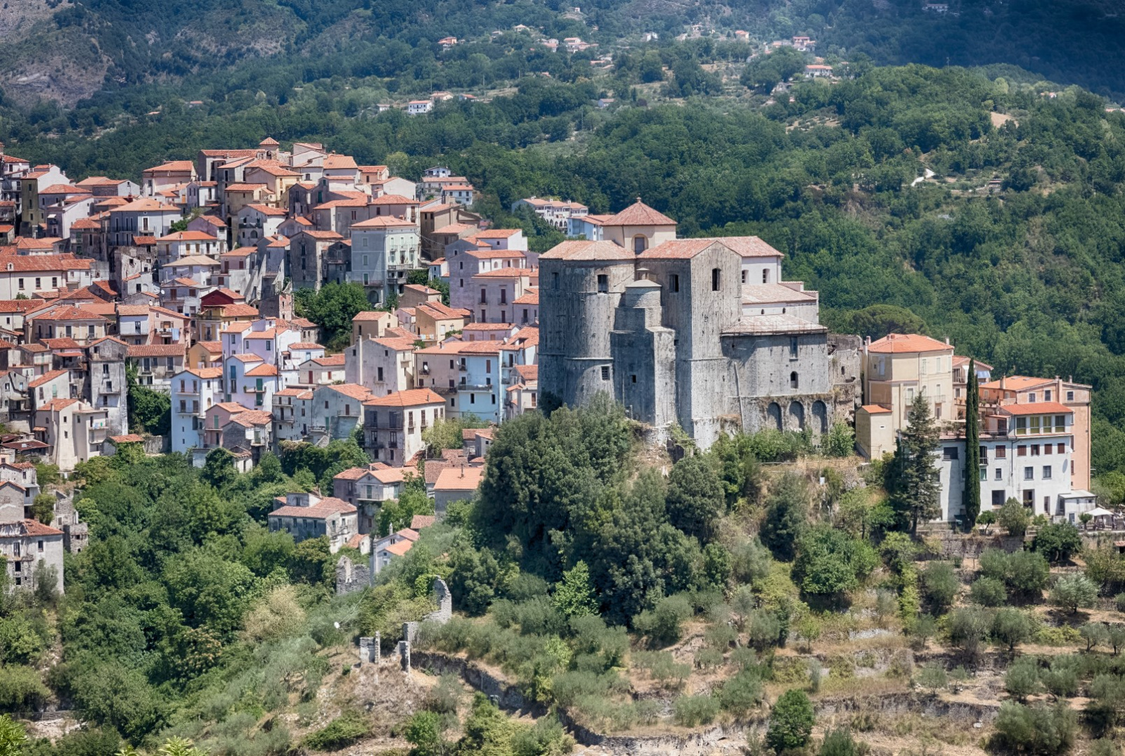 Vor Firenze3260 (Large)